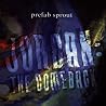 Image de l'album de Prefab Sprout