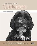 You and your Cockapoo : the essential guide