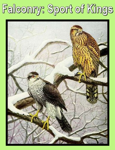 Falconry: Sport of Kings