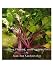 Growing, Preparing and Storing Beets (Garden Shorts Vegetable Series)