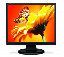 Nec ASLCD93VX-BK 19-Inch 1280X1024 LCD with DVI (Black)