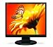 Nec ASLCD93VX-BK 19-Inch 1280X1024 LCD with DVI (Black)