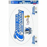 NBA Dallas Mavericks 2011 World Champions 11-by-17 Fan Magnet