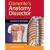Clemente's Anatomy Dissector