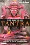 The Power of Tantra: Religion, Sexuality and the Politics of South Asian Studies (Library of Modern Religion)