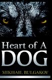 The Heart of a Dog