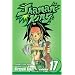 Shaman King, Vol. 17 (Shaman King (Graphic Novels)) (v. 17)