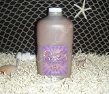 2008 Campus Cutie - Tan Asz U - Tan Incorporated Tanning Lotion 64 oz.