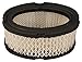 Raisman Air Filter Replaces John Deere M49746/Tecumseh 33268