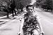 Driving and Bike Safety Movie plus California History: Drive Your Bike DVD (1955)