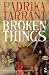 Broken Things (Salt Modern Fiction)