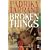 Broken Things (Salt Modern Fiction)