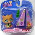 Littlest Pet Shop Exclusive Single Pack Figure Orange Kitten with Bandana & Tent