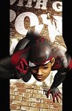 Ultimate Comics Spider-Man, Vol. 2