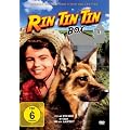 Rin Tin Tin Box [Special Collector's Edition] [2 DVDs] [Special Edition]