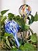 Unique Aqua Globes Glass Plant Watering Bulbs - Yellow and Blue