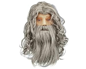 Star Power Wizard Warlock or Sorcerer Beard & Wig One Size Grey