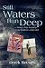Still Waters Run Deep: The Story of My Journey from East Harlem to Harvard