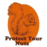 Squirrel Funny Sticker