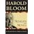 Novelists and Novels (Bloom's Literary Criticism 20th Anniversary Collection)