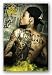 Wiz Khalifa - Tattoos Kunstdruck