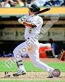Kurt Suzuki 2010 Action - Licensed Photo by PhotoFile (8x10)
