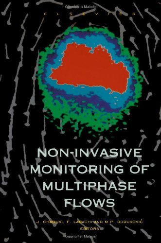 Non-Invasive Monitoring of Multiphase Flows