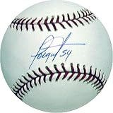 Jorge Julio MLB Baseball