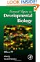 Current Topics in Developmental Biology, Volume 73