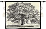 Review ArtExpression  / Bounds Park Oak - Artist: - Fabric Size: 53.00 by 42.00 inches Wall Tapestry with hanging rods and tassels included