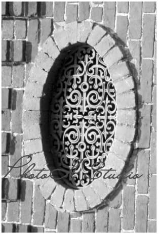 Letter O Photograph Alphabet Art Print 4"x6" by Phot Oh Studio O-6