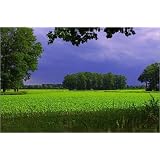 Leinwandbild 100 x 70 cm - "Gewitterstimmung auf dem Land" von Tanja Riedel - auch in anderen Gr��en und als Poster erh�ltlichvon "POSTERLOUNGE"