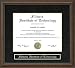 Illinois Institute of Technology (IIT) Diploma Frame