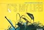 It's My Life: A Guide to Alternatives After High School
