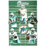 (22x34) Miami Dolphins Team Field Sports Poster Print
