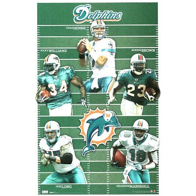 (22x34) Miami Dolphins Team Field Sports Poster Print