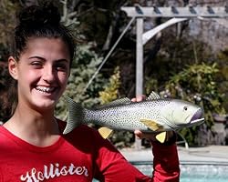 Taxidermy Quality 14" Fiberglass Weakfish Wall Mount