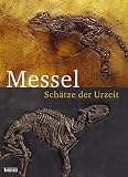 Messel. Schätze der Urzeit