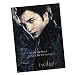 Twilight Puzzle "Edward Broken Glass"