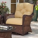 IMAGE OF Grand Traverse Swivel Glider Lounge Chair Fabric: Gretchen Nugget, Finish: Caramel
