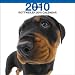 Rottweiler 2010 Square Wall ARTLIST (The Dog)