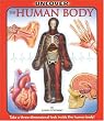 Uncover the Human Body: An Uncover It Book