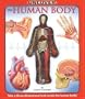 Uncover the Human Body: An Uncover It Book