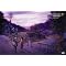 Key�̊�Ձ`CLANNAD�` Part.1