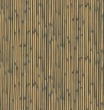 Brewster NG63878 National Geographics Kids Bamboo Wallpaper, 20.5-Inch by 396-Inch, Brown