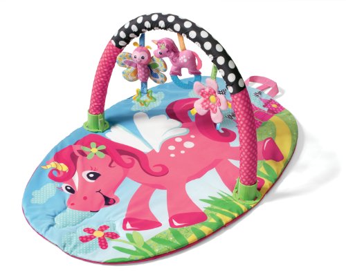 Buy Low Price Cozy Infantino Explore and Store Gym, Lil Unicorn B003I86898