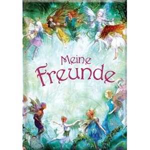 Freundebuch: Meine Freunde Feen