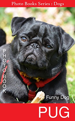 Photo book : Pug: Funny Dog (Photo Books Series : Dog 2)