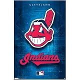 (22x34) Cleveland Indians Logo 2011 Sports Poster Print