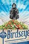 Birdseye: The Adventures of a Curious Man